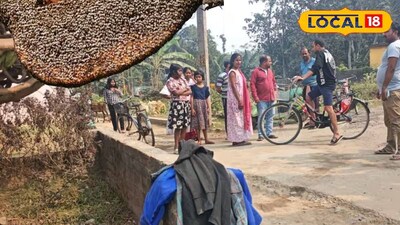 ব্যস্ত রাস্তায় মৌমাছির আতঙ্ক