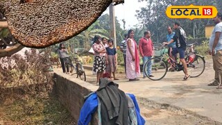 ব্যস্ত রাস্তায় মৌমাছির আতঙ্ক