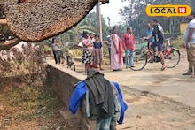 Nadia News: শান্তিপুরের ব্যস্ত রাস্তায় মৌমাছি-আতঙ্ক! কামড় খেয়ে হাসপাতালে ভর্তি ৩, ভয়ে 'এই' পথ এড়াচ্ছে মানুষ