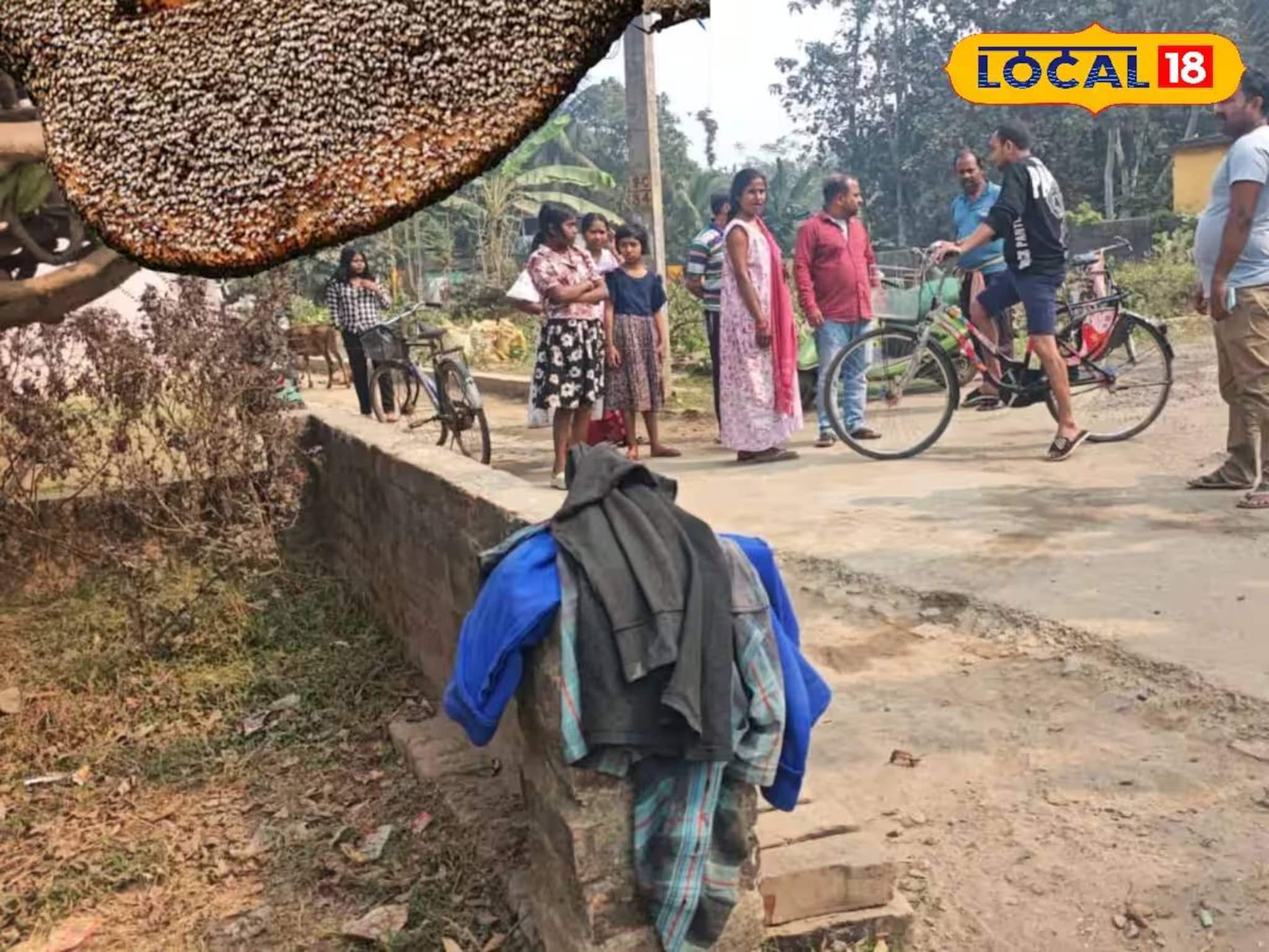 শান্তিপুরের ব্যস্ত রাস্তায় মৌমাছি-আতঙ্ক! কামড় খেয়ে হাসপাতালে ভর্তি ৩ শান্তিপুরের ব্যস্ত রাস্তায় মৌমাছি-আতঙ্ক! কামড় খেয়ে হাসপাতালে ভর্তি ৩