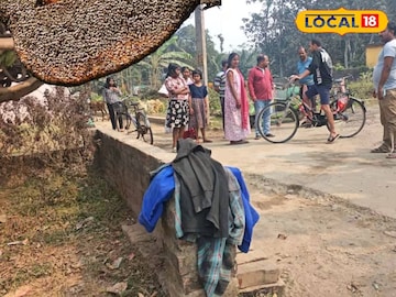 ব্যস্ত রাস্তায় মৌমাছির আতঙ্ক ব্যস্ত রাস্তায় মৌমাছির আতঙ্ক