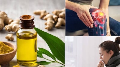 আদার তেল তাজা বা শুকনো মূল থেকে বাষ্প পাতনের (স্টিম ডিস্টিলেশন) মাধ্যমে বের করা হয়। এর সক্রিয় উপাদান, জিঞ্জেরল, শোগাওল এবং জিঙ্গিবেরিন, এটিকে ঔষধি গুণ প্রদান করে। আদার তেল দীর্ঘকাল ধরে আয়ুর্বেদ এবং ঐতিহ্যবাহী ঔষধে শরীরকে উষ্ণ করতে, ব্যথা উপশম করতে এবং হজম উন্নত করতে ব্যবহৃত হয়ে আসছে। এর সুগন্ধ তীব্র, মশলাদার এবং সতেজ।