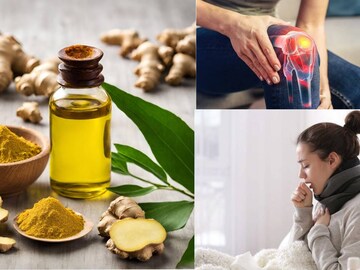 গাঁটের ব্যথার যম! সর্দিকাশির মহৌষধ! ২ ফোঁটা আদার তেলে জব্দ শীতের শত দুঃখ কষ্ট!