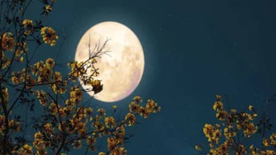 নতুন বছরর প্রথম পূর্ণিমা পালিত হচ্ছে শনিবার। পৌষ মাসের এই পূর্ণিমা তিথি অত্যন্ত মাহাত্ম্যপূর্ণ। পুণ্যসঞ্চয়ের জন্য দানধ্যান রীতি পালন করা হয় এই শুভ দিনে। জ্যোতিষশাস্ত্রে বিশেষ প্রভাব রয়েছে এই পুণ্যক্ষণের।