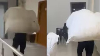 প্যাকেটটি এত বড় ছিল যে ফ্ল্যাটের দরজা দিয়ে ভেতরে ঢুকতে তার কষ্ট হচ্ছিল