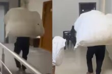 Viral: লিফ্ট ব্যবহারে নিষেধ! পিঠে পাহাড়প্রমাণ পার্সেল বয়ে সিঁড়ি দিয়ে বহুতলে উঠছেন ডেলিভারি ম্যান! নামী বহুতলের ভিডিও ঘিরে চরম বিতর্ক