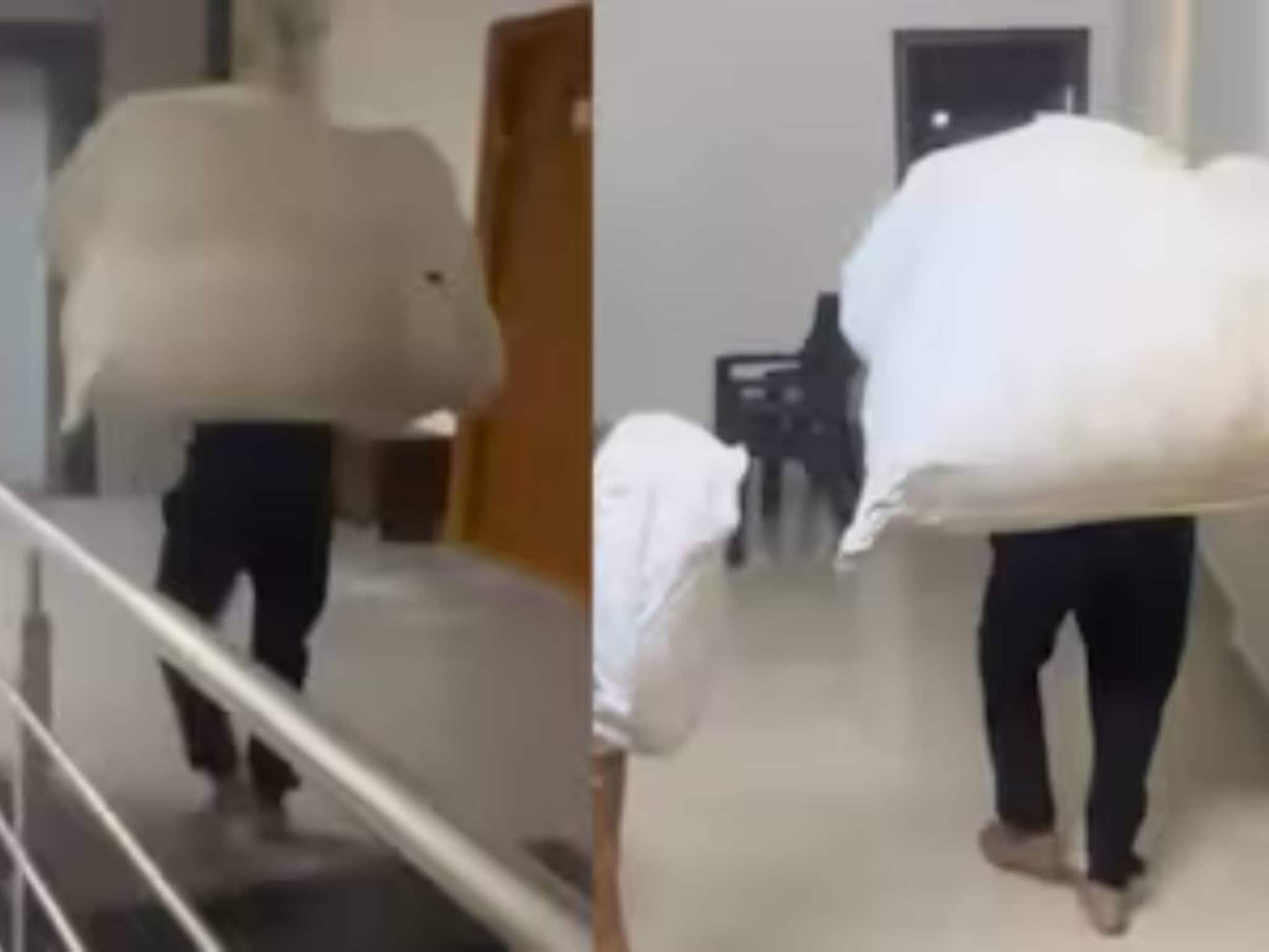 পিঠে পাহাড়প্রমাণ পার্সেল বয়ে সিঁড়ি দিয়ে বহুতলে উঠছেন ডেলিভারি ম্যান! বিতর্ক চরমে পিঠে পাহাড়প্রমাণ পার্সেল বয়ে সিঁড়ি দিয়ে বহুতলে উঠছেন ডেলিভারি ম্যান! বিতর্ক চরমে