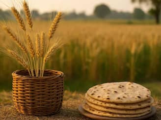 কোন রাজ্য ‘ভারতের রুটির ঝুড়ি’? ৯৯.৯% মানুষ ভুল উত্তর দেবেন! সঠিক জানেন শুধু বুদ্ধিমানরাই!