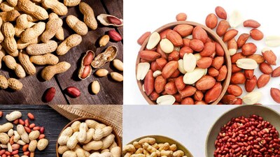 চিনাবাদাম স্বাস্থ্যের জন্য অত্যন্ত উপকারী বলে বিবেচিত হয়। এতে প্রোটিন, স্বাস্থ্যকর চর্বি, ফাইবার এবং অনেক প্রয়োজনীয় পুষ্টি উপাদান রয়েছে, যা এগুলিকে একটি জনপ্রিয় বিকল্প করে তোলে। চিনাবাদামকে ‘গরিবের বাদামও’ বলা হয় কারণ এটি সস্তা কিন্তু অবিশ্বাস্য উপকারিতা দেয়। তবে, চিনাবাদাম খাওয়া সবার জন্য উপকারী নয়। কিছু লোকের জন্য, চিনাবাদাম খাওয়া জটিলতার ঝুঁকি বাড়িয়ে তুলতে পারে। বিশেষজ্ঞরা নির্দিষ্ট কিছু রোগে আক্রান্ত ব্যক্তিদের চিনাবাদাম এড়িয়ে চলার পরামর্শ দেন।