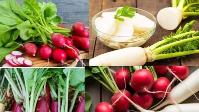 মাঘ মাসকে অত্যন্ত পবিত্র বলে মনে করা হয়। এই মাসে মানুষ পূজা, দান, স্নান এবং ধ্যানের উপর বেশি মনোযোগ দেয়। শান্তিপূর্ণ ও পুণ্যময় গৃহ পরিবেশ বজায় রাখার উপরও জোর দেওয়া হয়। অনেকেই এই মাসে কিছু খাদ্যতালিকাগত নিয়মও মেনে চলেন। উদাহরণস্বরূপ, অনেকে মাঘ মাসে মুলো খান না। সেই সব পরিবারে এই রীতি প্রচলিত যে মাঘ মাসে মুলো খেলে দেখা দেবে অসুস্থতা