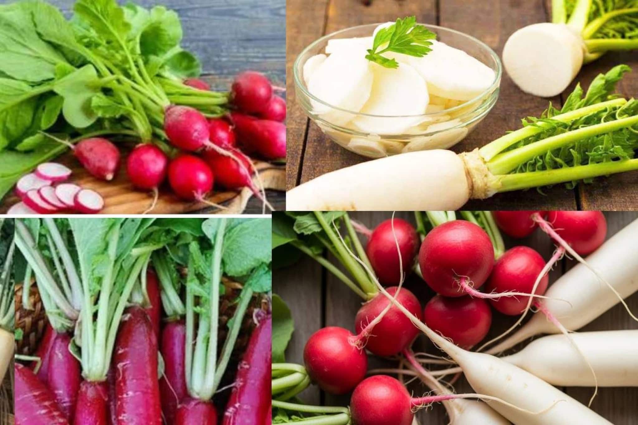 বহু উপকারিতা সত্ত্বেও মাঘ মাসে মুলো খেতে নিষেধ করা হয় কেন? ক্ষতির কারণ জানলে আঁতকে উঠবেন! বহু উপকারিতা সত্ত্বেও মাঘ মাসে মুলো খেতে নিষেধ করা হয় কেন? ক্ষতির কারণ জানলে আঁতকে উঠবেন!