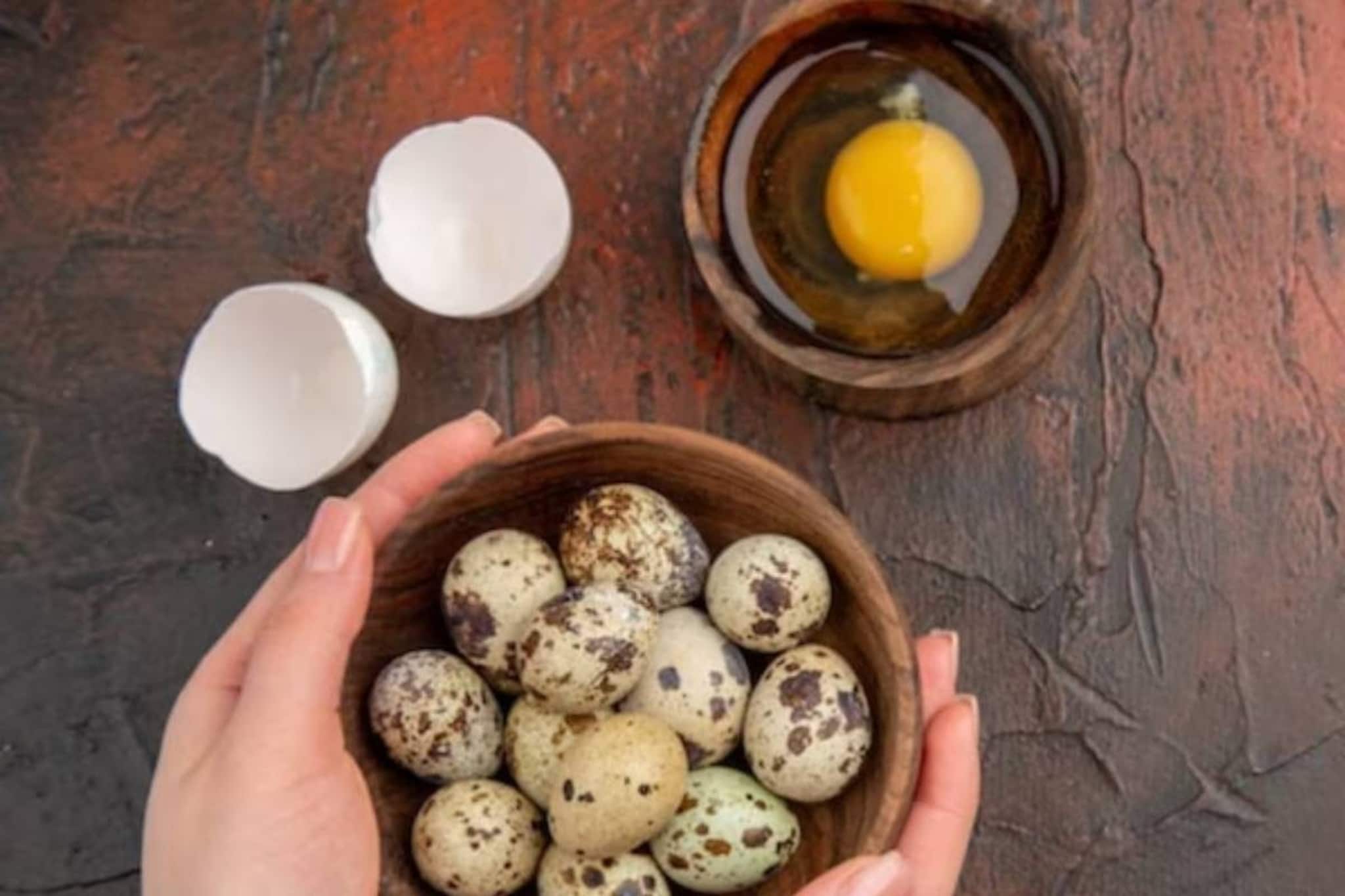 লিভারের বন্ধু! মহিলাদের জন্য গুণের ভান্ডার! পুঁচকে পাখির ছোট্ট ডিমেই ঠান্ডায় ভরপুর এনার্জি