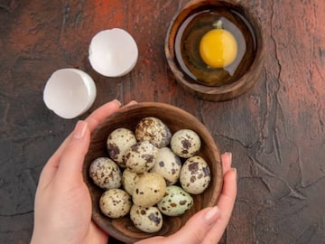 লিভারের বন্ধু! মহিলাদের জন্য গুণের ভান্ডার! পুঁচকে পাখির ছোট্ট ডিমেই ঠান্ডায় ভরপুর এনার্জি লিভারের বন্ধু! মহিলাদের জন্য গুণের ভান্ডার! পুঁচকে পাখির ছোট্ট ডিমেই ঠান্ডায় ভরপুর এনার্জি