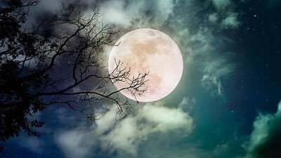 শনিবার, ৩ জানুয়ারি দেশ জুড়ে পালিত হচ্ছে পৌষ পূর্ণিমা৷ জ্যোতিষশাস্ত্র এবং আধ্যাত্মিকতার দিক থেকে এই দিন খুবই গুরুত্বপূর্ণ৷ জ্যোতিষশাস্ত্রের প্রভাব পড়বে পৌষ পূর্ণিমার রাশিফলের উপর৷