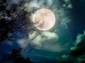 নতুন চাকরি! প্রোমোশন! ইনক্রিমেন্ট! পৌষ পূর্ণিমায় ৩ রাশি সৌভাগ্যের জোয়ারে টাকার পাহাড়ে! নতুন চাকরি! প্রোমোশন! ইনক্রিমেন্ট! পৌষ পূর্ণিমায় ৩ রাশি সৌভাগ্যের জোয়ারে টাকার পাহাড়ে!