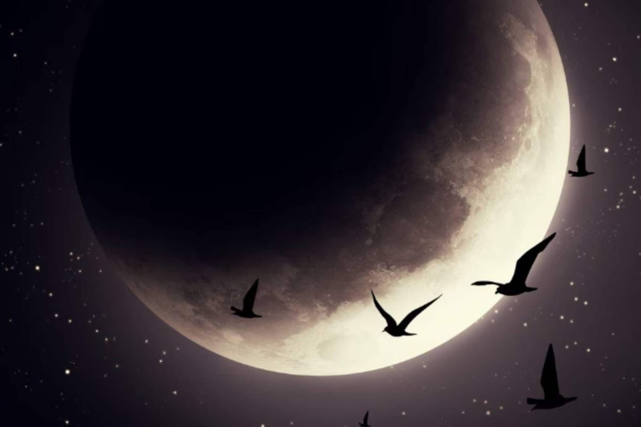 আজ মৌনী অমাবস্যা! তুলসীপাতা দিয়ে ছোট্ট কাজেই কাটবে অভাব! টাকা ও সুখ-সমৃদ্ধিতে ভরবে জীবন