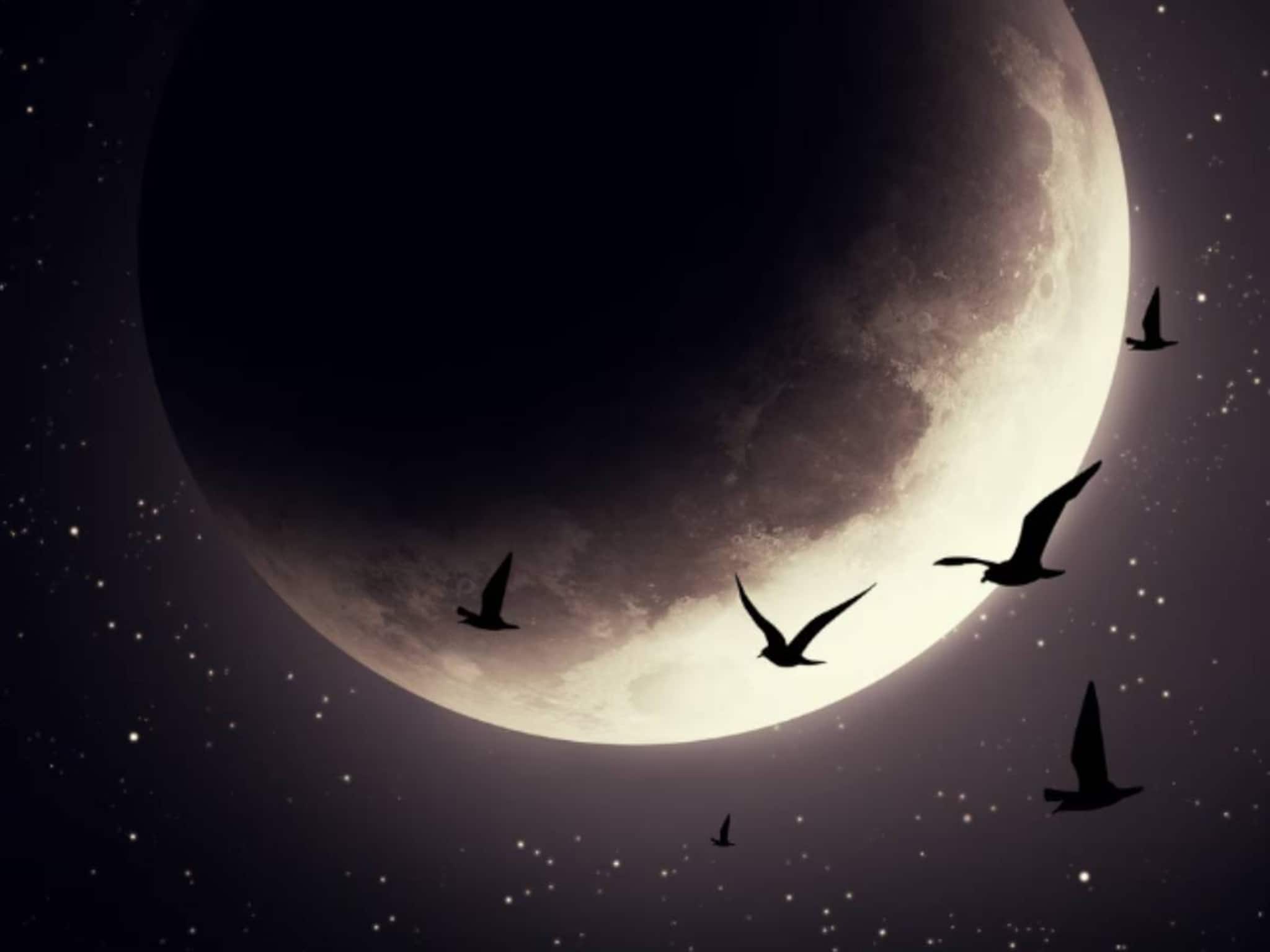 আজ মৌনী অমাবস্যা! তুলসীপাতা দিয়ে ছোট্ট কাজেই কাটবে অভাব! টাকা ও সুখ-সমৃদ্ধিতে ভরবে জীবন