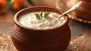 দই কোনও জাদুকরী বা ক্ষতিকারক নয় দই কোনও জাদুকরী বা ক্ষতিকারক নয়