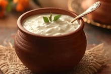 Curd & Myths: দই খেলে বাড়ে ওজন? বারোটা বাজে হজমের? ব্লাড সুগারে খেলে চরম বিপদ? ভুল ভাঙিয়ে জানুন সঠিক উত্তর