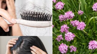 চুলের গোড়াকে পুষ্টি জোগায় এবং শক্তিশালী করে, ধীরে ধীরে চুল পড়া কমাতে সাহায্য করে