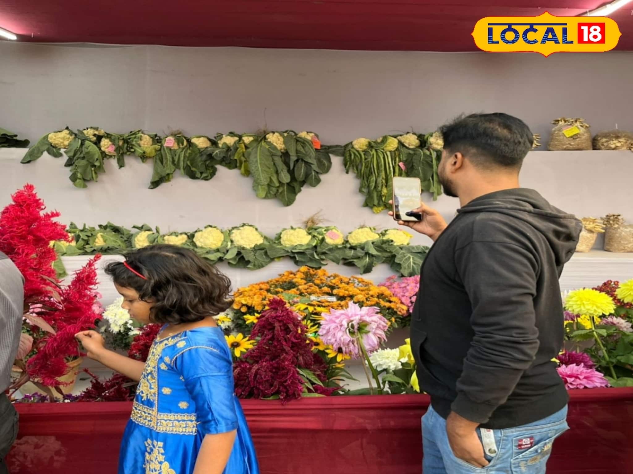 নিমপীঠে কৃষি মেলায় 'বিরাট' আয়োজন! ৮ ফুটের কচু, ৬ কেজির লাউ দেখতে ভিড়