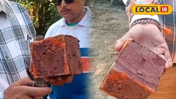 প্লাস্টিকের