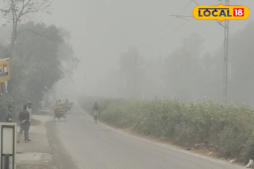 দক্ষিণবঙ্গের একাধিক জেলার সর্বনিম্ন তাপমাত্রার পারদ এখন উত্তরবঙ্গের বেশ কিছু জেলার সর্বনিম্ন তাপমাত্রার পারদের তুলনায় কম। দক্ষিণবঙ্গের পশ্চিমের এবং জঙ্গলমহলের জেলাগুলি বাদ দিলেও হুগলিতেও এখন হাড়কাঁপুনি ঠান্ডা লক্ষ্য করা যাচ্ছে। হুগলির সর্বনিম্ন তাপমাত্রার পারদ এখন অনেকটাই নেমেছে। দক্ষিণবঙ্গের একাধিক জেলার সর্বনিম্ন তাপমাত্রার পারদ এখন উত্তরবঙ্গের বেশ কিছু জেলার সর্বনিম্ন তাপমাত্রার পারদের তুলনায় কম। দক্ষিণবঙ্গের পশ্চিমের এবং জঙ্গলমহলের জেলাগুলি বাদ দিলেও হুগলিতেও এখন হাড়কাঁপুনি ঠান্ডা লক্ষ্য করা যাচ্ছে। হুগলির সর্বনিম্ন তাপমাত্রার পারদ এখন অনেকটাই নেমেছে।