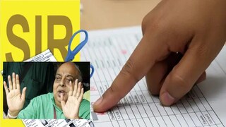 এসআইআর শুনানিতে টুটু বসু 