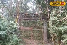 Sap Nikla Forest: ঐতিহাসিক জঙ্গলের অনিশ্চিত বর্তমান! অবহেলা-আইনি জটে বিলুপ্তির পথে সাপ নিকলা ফরেস্ট, পর্যটকদের প্রিয় স্পট আজ ধ্বংসস্তূপ