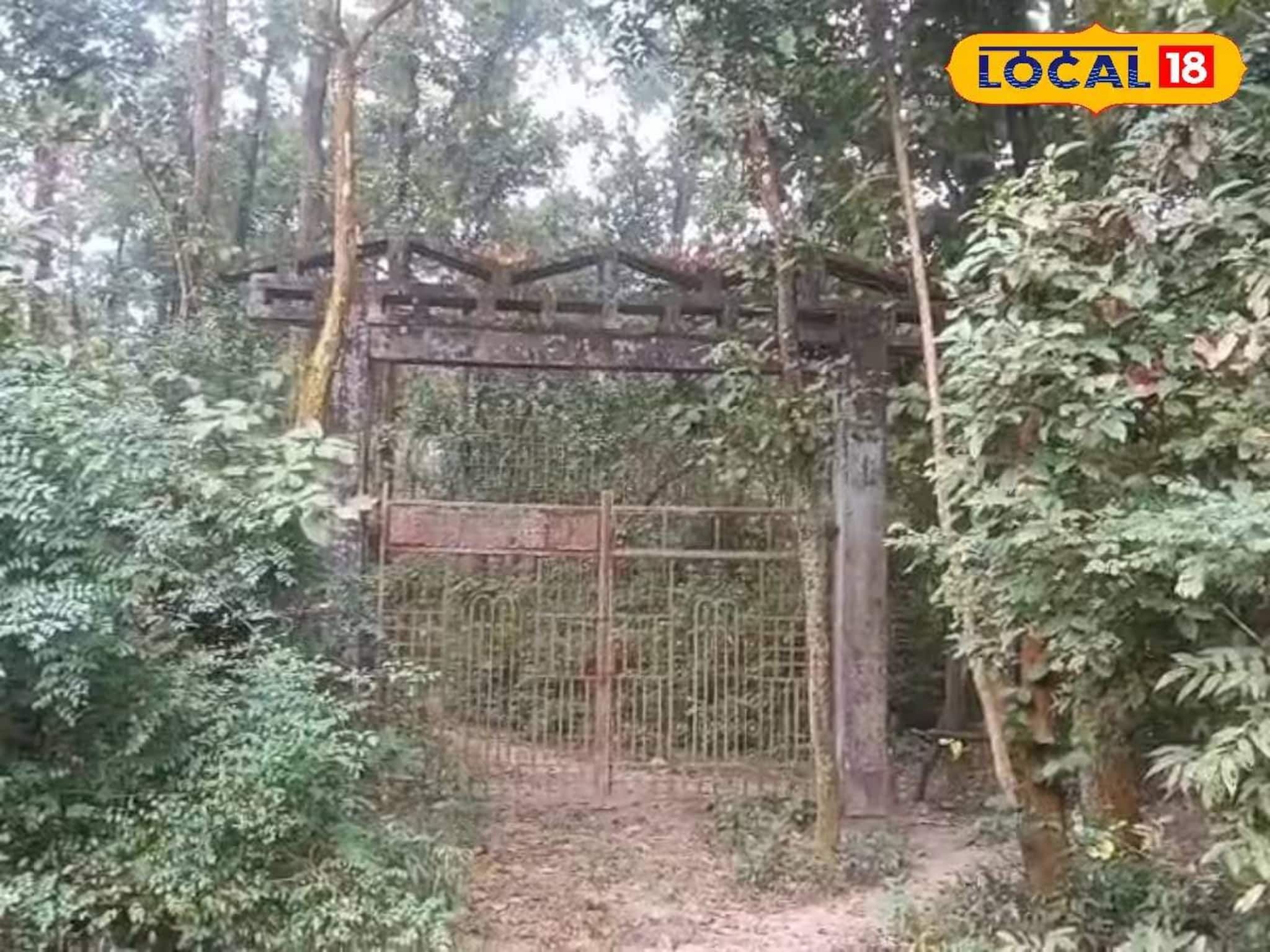 ঐতিহাসিক জঙ্গলের অনিশ্চিত বর্তমান! অবহেলা-আইনি জটে বিলুপ্তির পথে সাপ নিকলা ফরেস্ট ঐতিহাসিক জঙ্গলের অনিশ্চিত বর্তমান! অবহেলা-আইনি জটে বিলুপ্তির পথে সাপ নিকলা ফরেস্ট