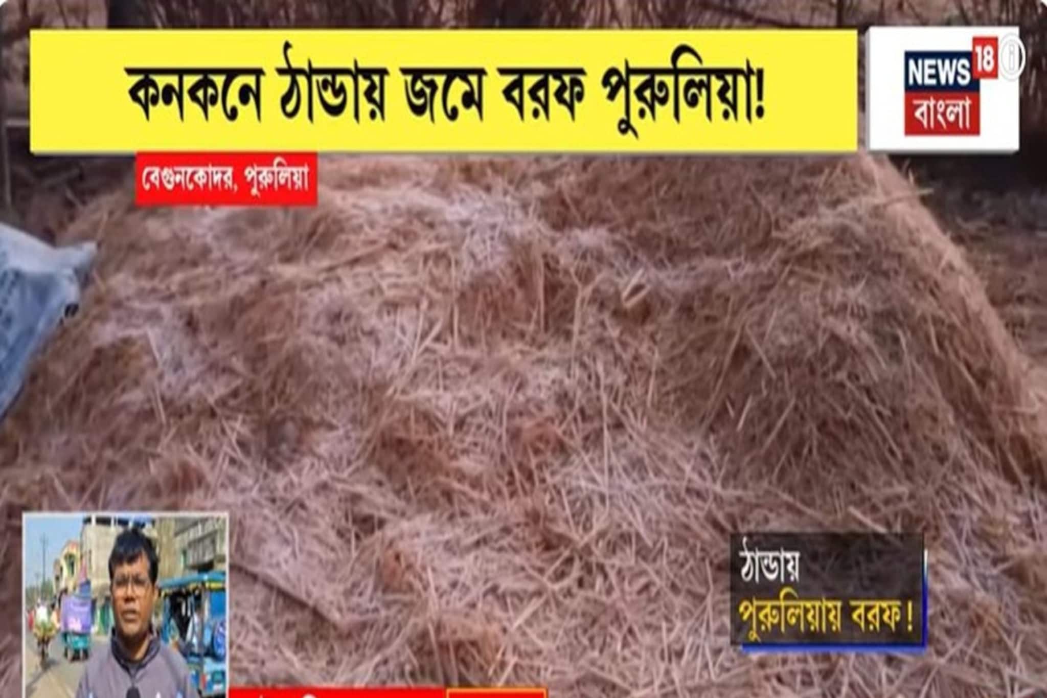 কনকনে ঠান্ডায় জমে বরফ পুরুলিয়া,বেগুনকোদরে 'গ্রাউন্ড ফ্রস্ট'