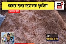 Purulia News: কনকনে ঠান্ডায় জমে বরফ পুরুলিয়া,বেগুনকোদরে 'গ্রাউন্ড ফ্রস্ট'