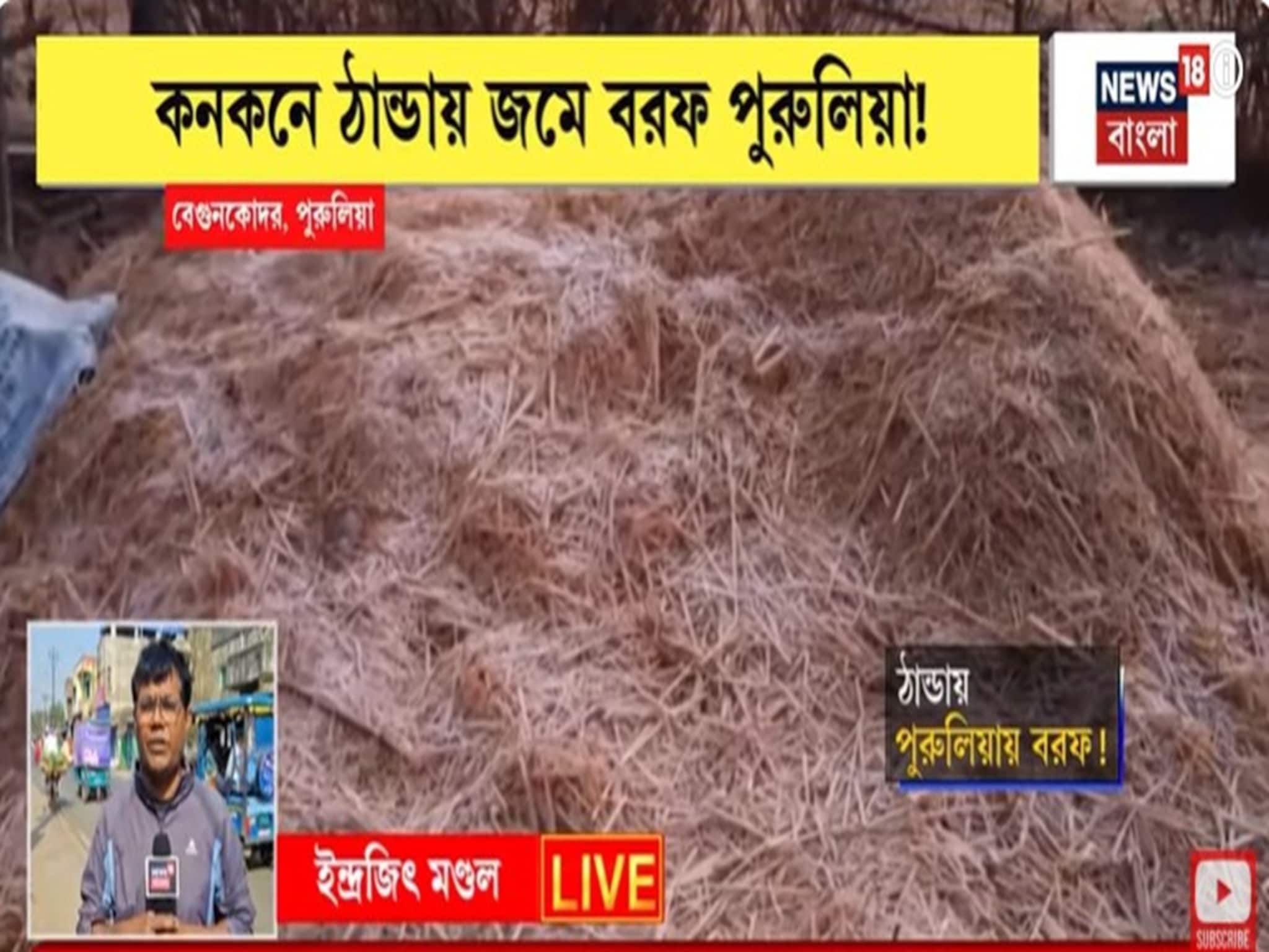 কনকনে ঠান্ডায় জমে বরফ পুরুলিয়া,বেগুনকোদরে 'গ্রাউন্ড ফ্রস্ট'