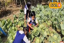 Medinipur News: পড়ুয়াদের হাতে-ফলানো সবজিতেই মিড-ডে মিল, অভিনব উদ্যোগ পটাশপুরের স্কুলে