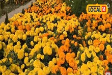 South 24 Parganas News: যেদিকে দু'চোখ যায় শুধু রঙিন ফুলের হাতছানি,ঘুরে আসুন বসিরহাটের ফুলের উপত্যকায়