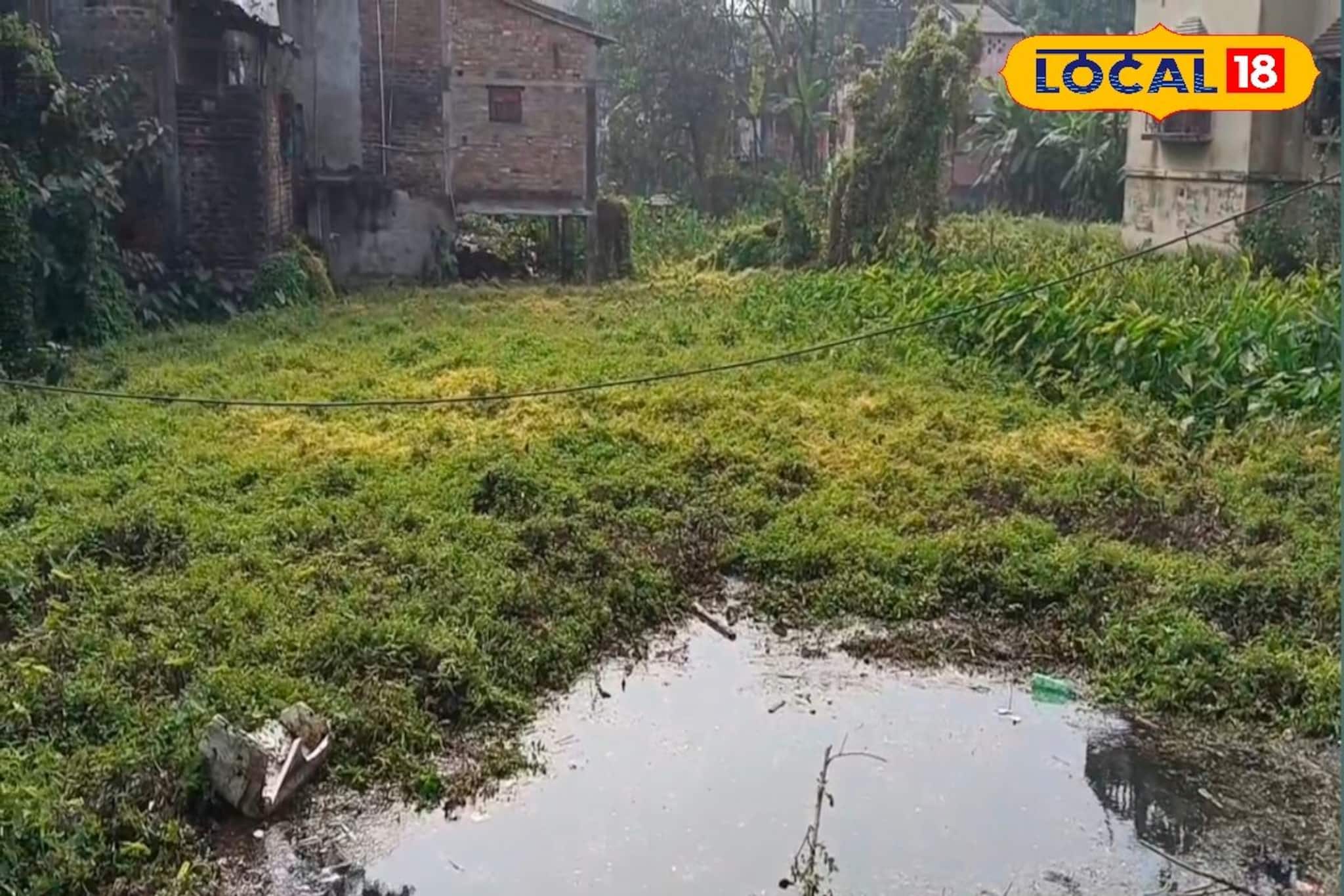 দিদির স্কুটিতে স্কুলে যাওয়ার পথে একী অঘটন! অকালে গেল পঞ্চম শ্রেণির ছাত্রীর প্রাণ