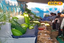 South 24 Parganas News: প্রত্যন্ত এলাকাতেই বিরাট আয়োজন! সুন্দরবনে বসেছে কৃষি প্রদর্শনী ও জীব বৈচিত্র্য সংরক্ষণ মেলা, শুরু থেকেই ভিড়