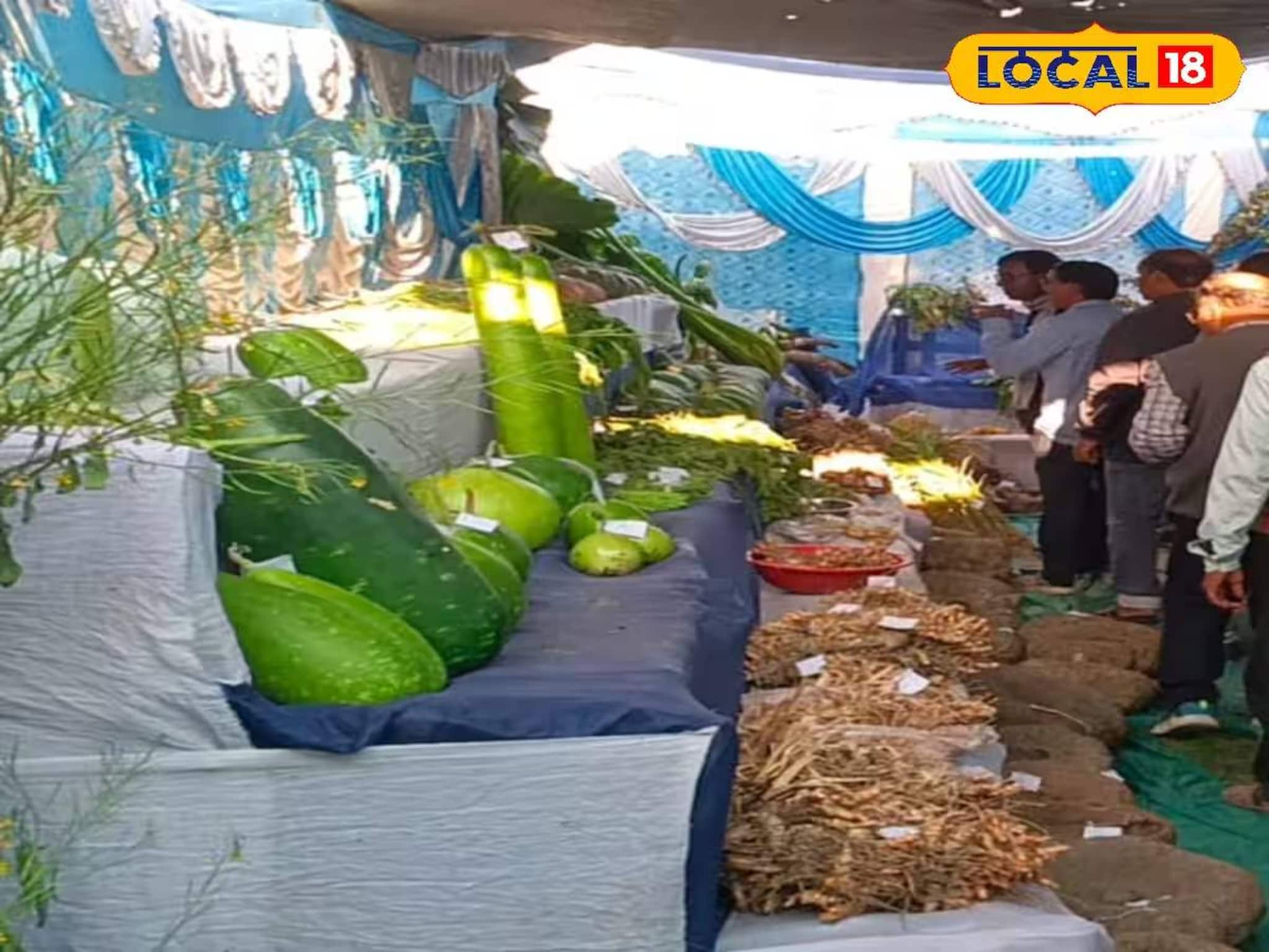 প্রত্যন্ত এলাকাতেই বিরাট আয়োজন! সুন্দরবনে কৃষি প্রদর্শনী ও জীব বৈচিত্র্য সংরক্ষণ মেলা