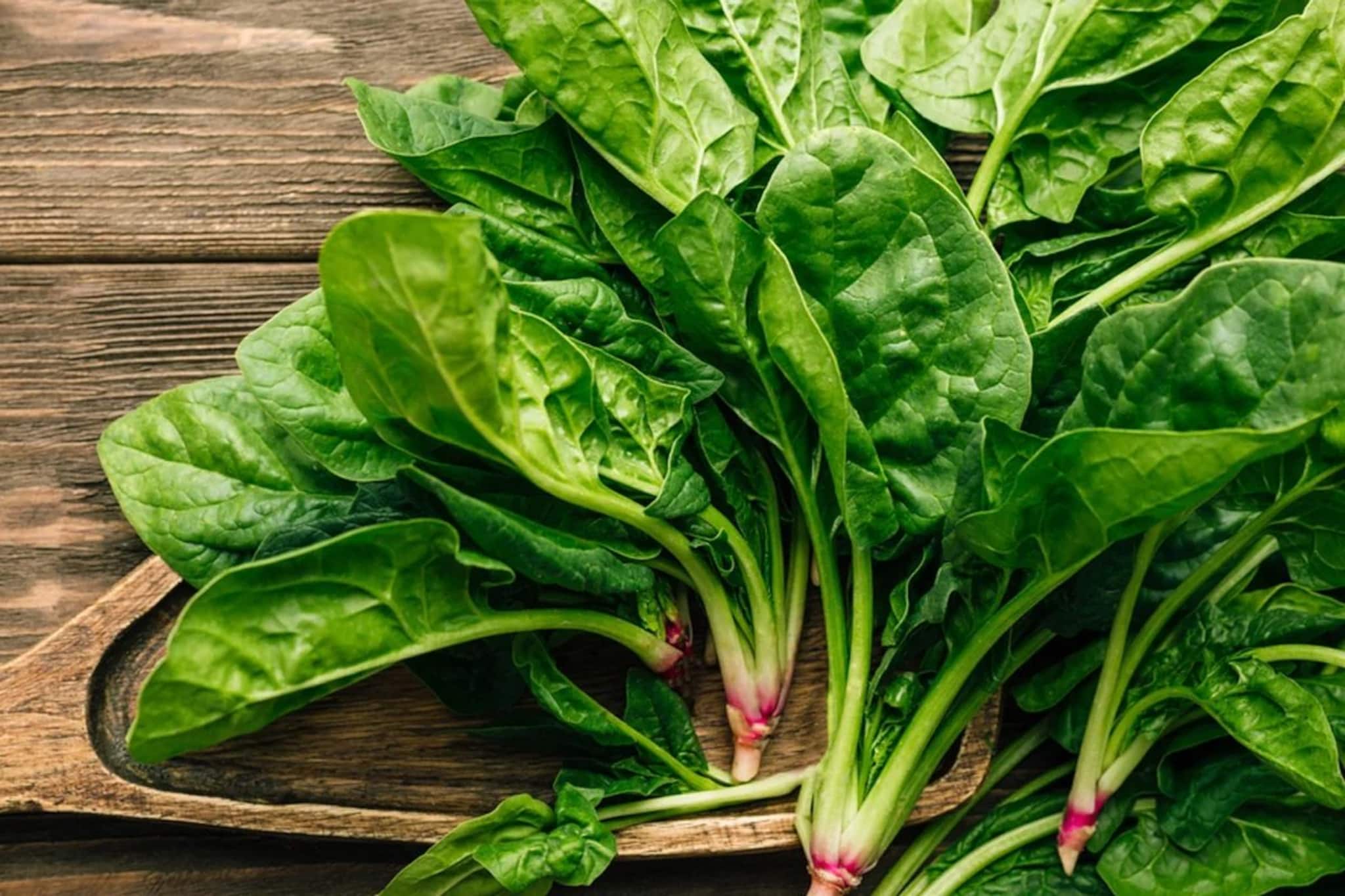 বাগান, ব্যালকনির টবেই ফলবে তাজা পালং! সহজ এই উপায়ে ফলবে আঁটি আঁটি, বাজার থেকে কিনতে হবে না