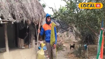 সুন্দরবনে