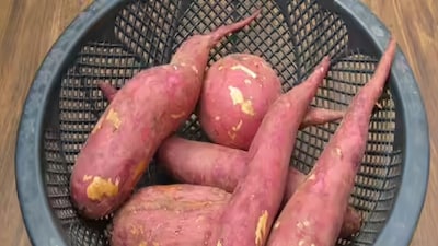 বাজার ছেয়ে রয়েছে রাঙা বা মিষ্টি আলুতে। কিন্তু সেগুলো যে টাটকা, তাতে কোনও রকম ভেজাল নেই তো, তা বুঝবেন কী ভাবে?