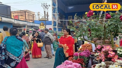 উলুবেড়িয়া বইমেলায় গাছের প্রদর্শনী