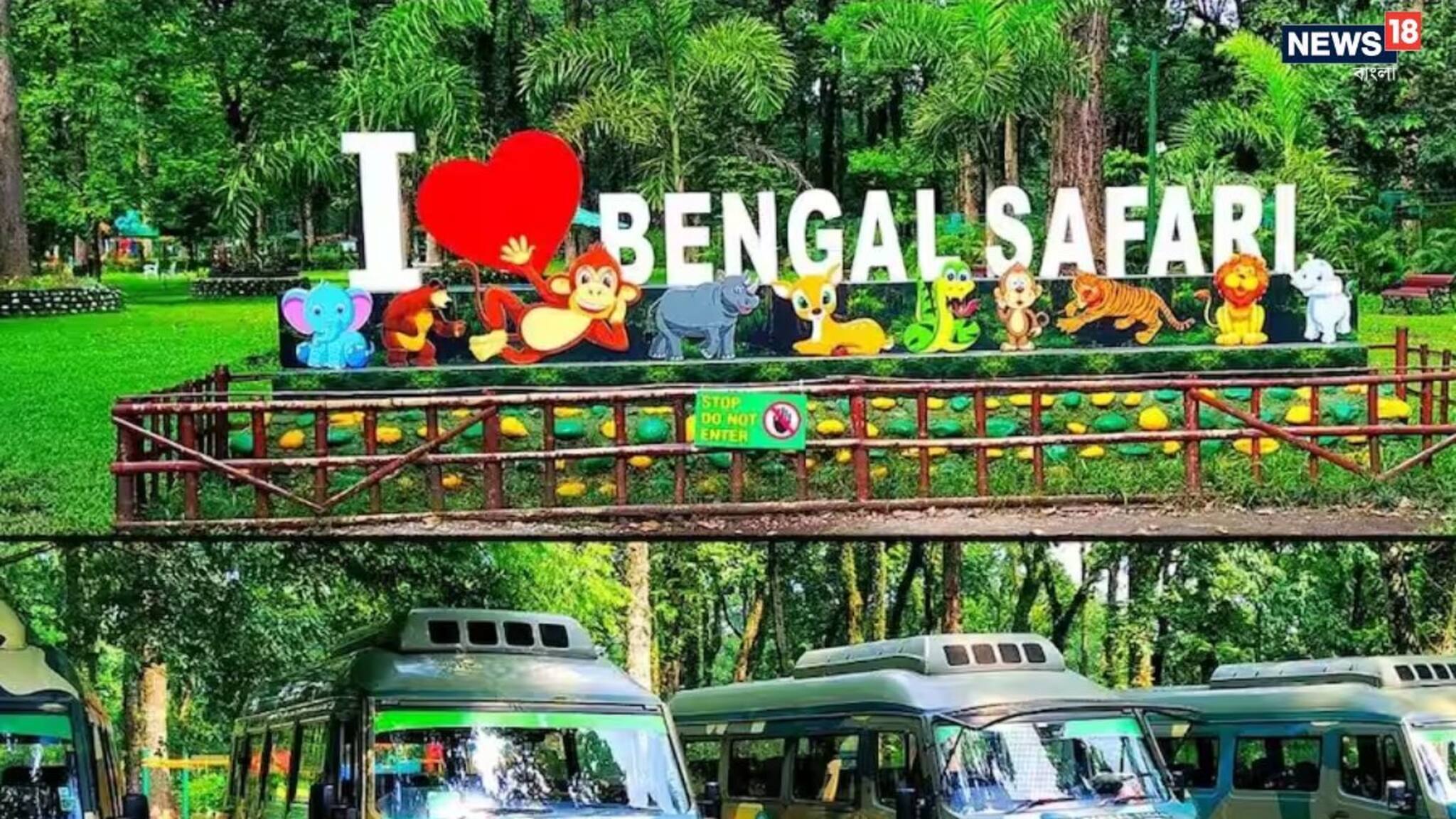 Siliguri Bengal Safari: কনকনে ঠান্ডায় বেঙ্গল সাফারি পার্কে রাজকীয় ব্যবস্থা, শীতে সুরক্ষায় রয়েল বেঙ্গল টাইগার থেকে ব্ল্যাক বিয়ার