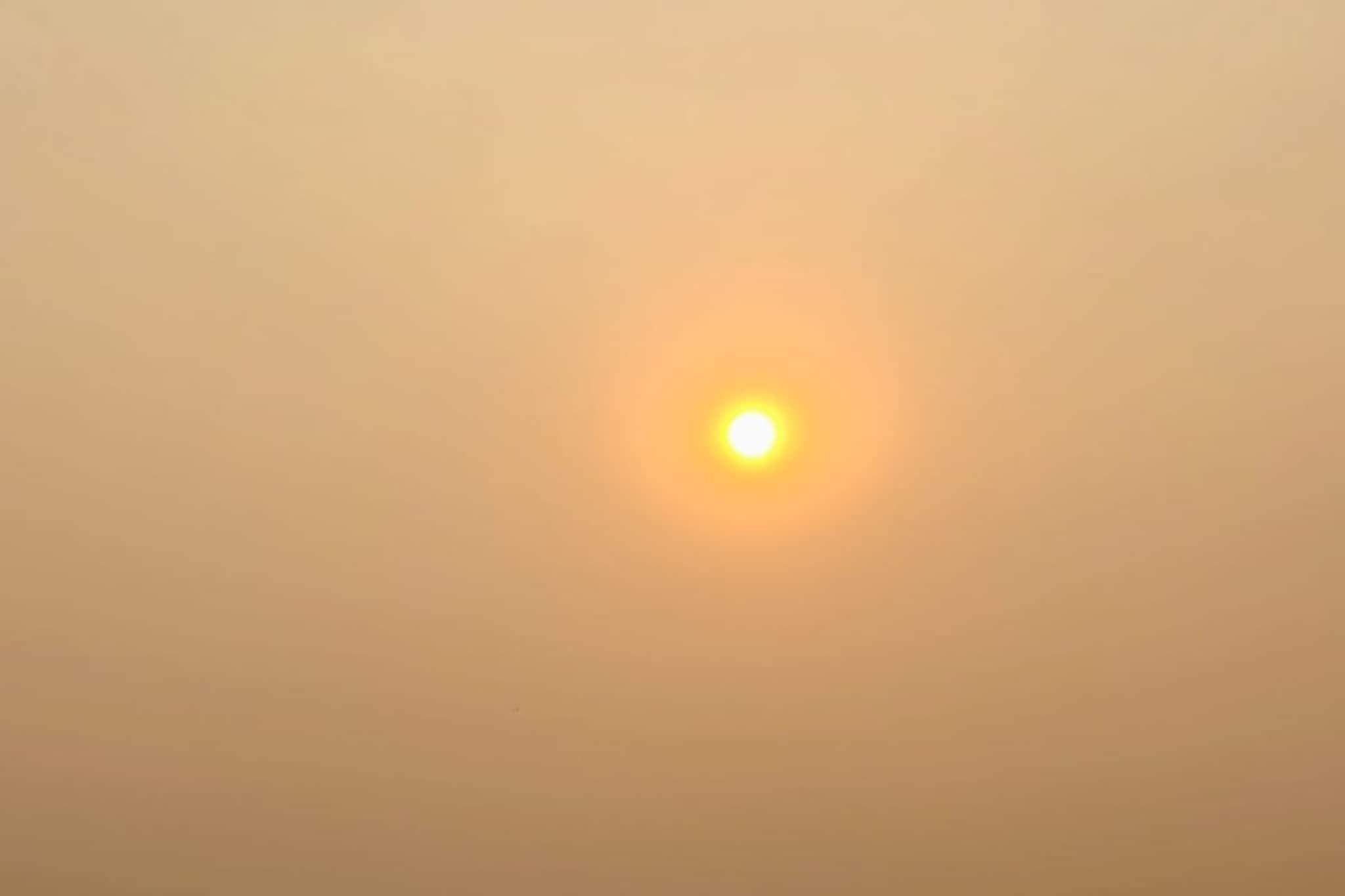 মাঘের শীতে বাঘ আর পালাল কই! উধাও ঠান্ডা... সরস্বতীপুজোয় কী হবে পরিস্থিতি?