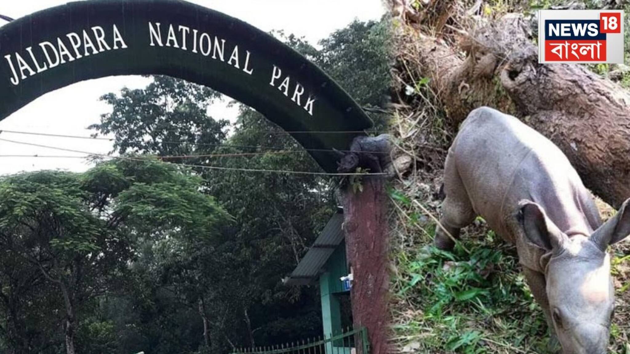 বাড়ল নজরদারি, আধুনিক ক্যামেরার লেন্সে বন্দি জলদাপাড়া জাতীয় উদ্যানের পশুরা