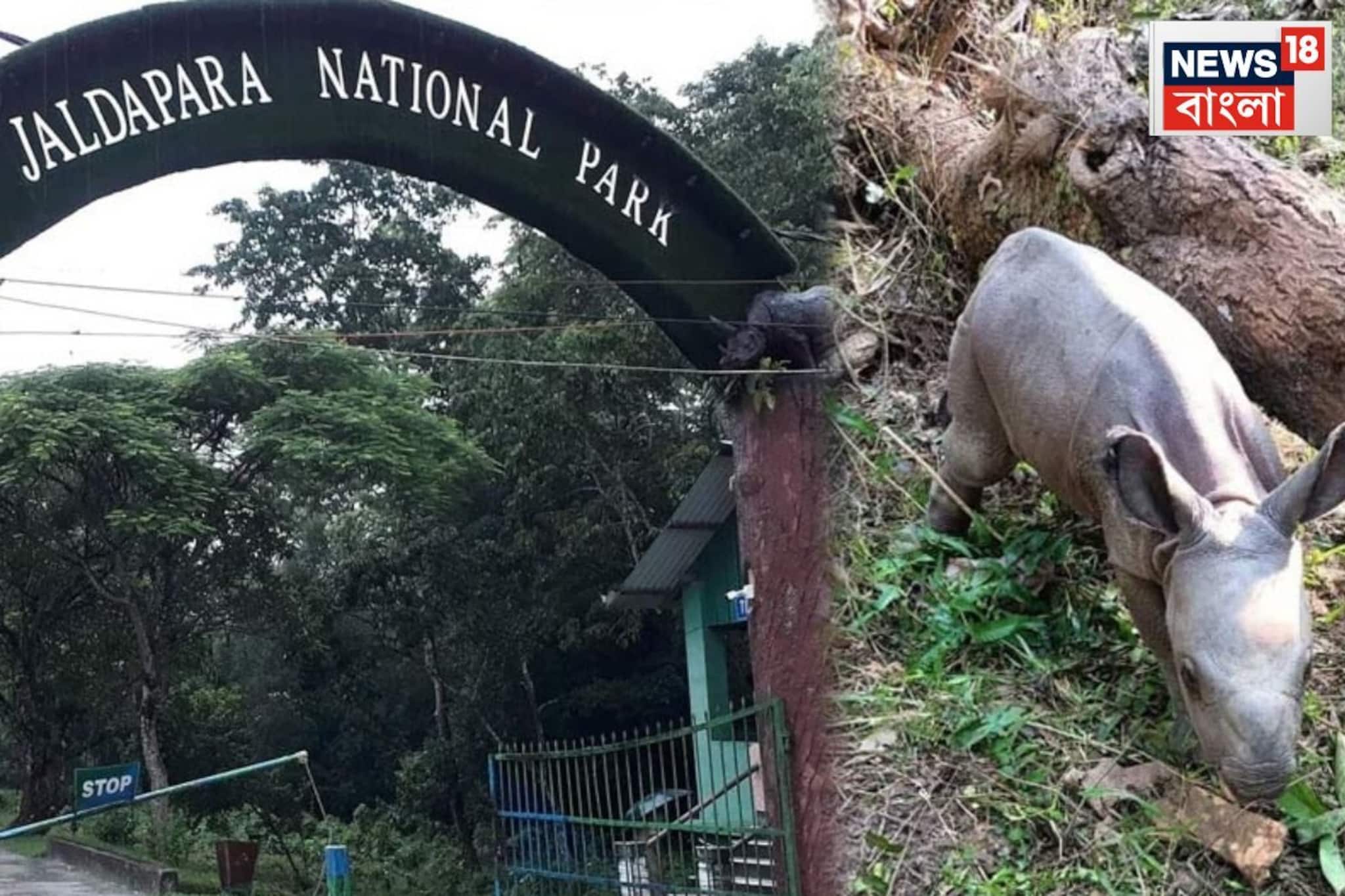 বাড়ল নজরদারি, আধুনিক ক্যামেরার লেন্সে বন্দি জলদাপাড়া জাতীয় উদ্যানের পশুরা বাড়ল নজরদারি, আধুনিক ক্যামেরার লেন্সে বন্দি জলদাপাড়া জাতীয় উদ্যানের পশুরা