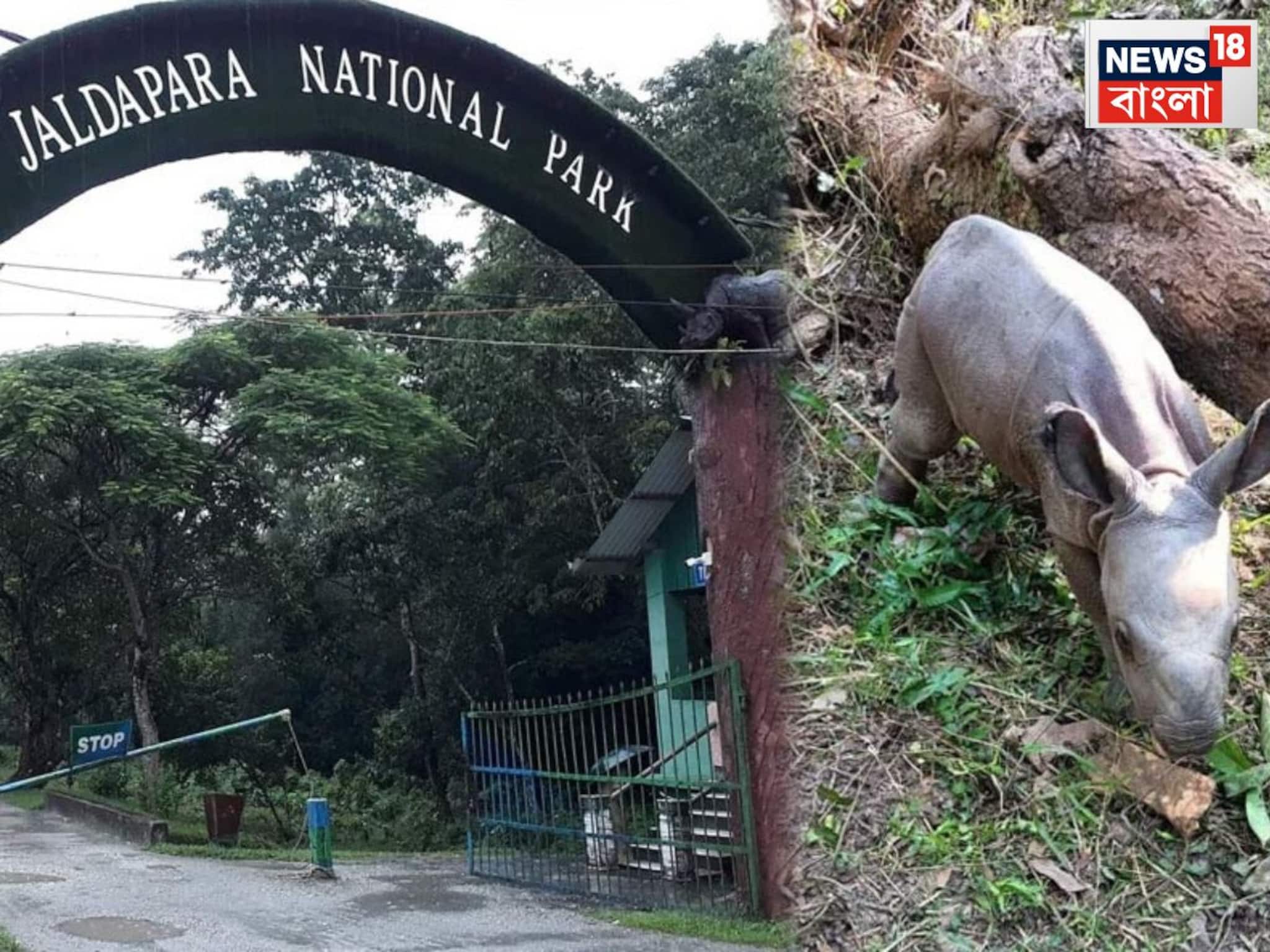 বাড়ল নজরদারি, আধুনিক ক্যামেরার লেন্সে বন্দি জলদাপাড়া জাতীয় উদ্যানের পশুরা