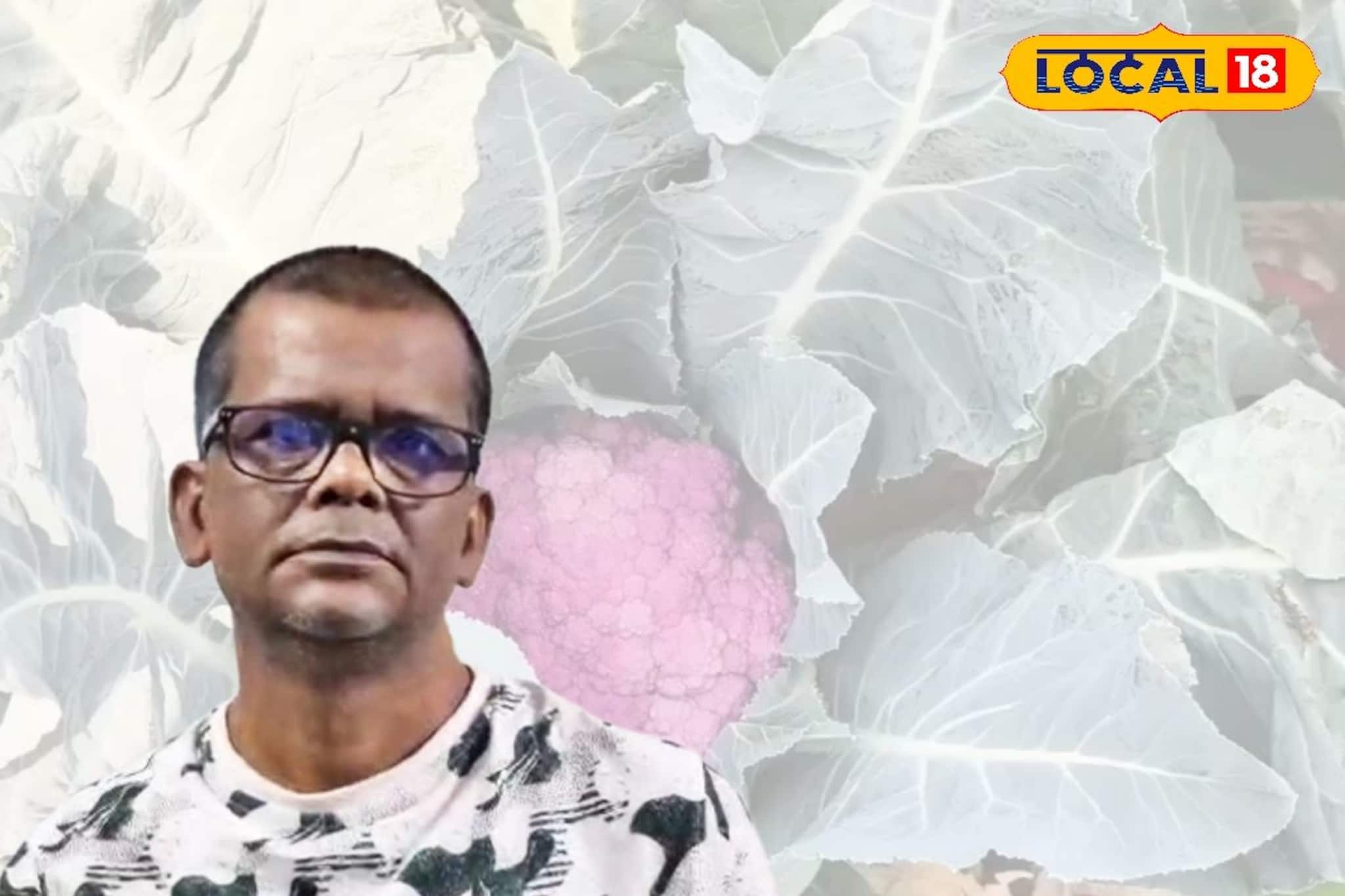 শহরের ছাদেই 'সবুজ' বিপ্লব! নতুন প্রজন্মকে পথ দেখাচ্ছেন মেদিনীপুরের আইনজীবী