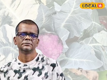 আইনজীবী