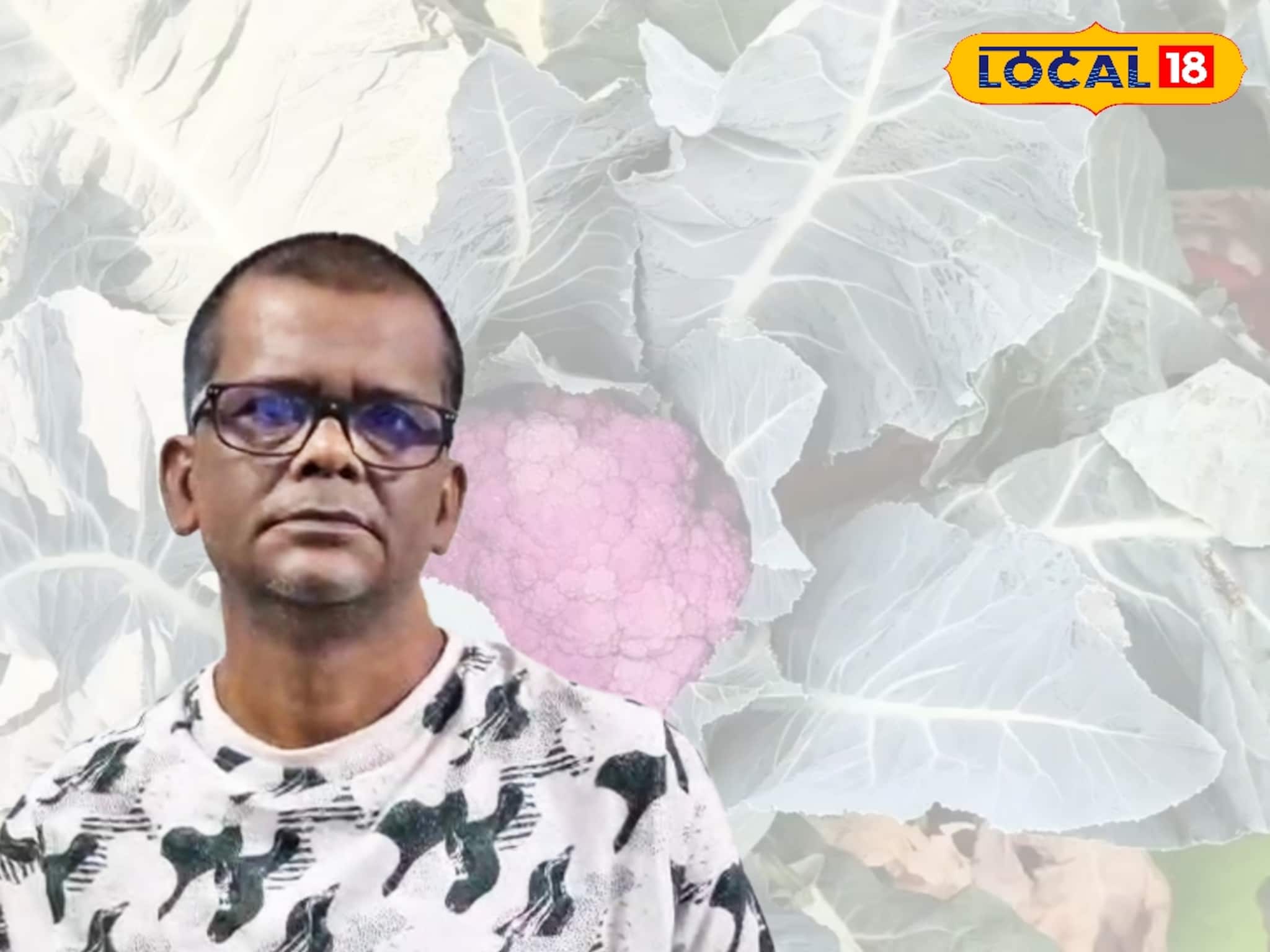 শহরের ছাদেই 'সবুজ' বিপ্লব! নতুন প্রজন্মকে পথ দেখাচ্ছেন মেদিনীপুরের আইনজীবী